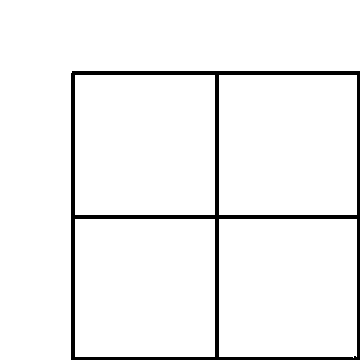 Punnett Square Template